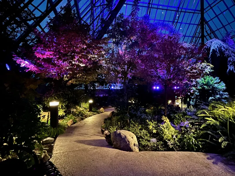 A garden path lit by lanterns at night inside the Muttart Conservatory